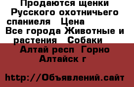 Продаются щенки Русского охотничьего спаниеля › Цена ­ 25 000 - Все города Животные и растения » Собаки   . Алтай респ.,Горно-Алтайск г.